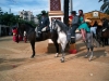 Feria_Jerez2007 214
